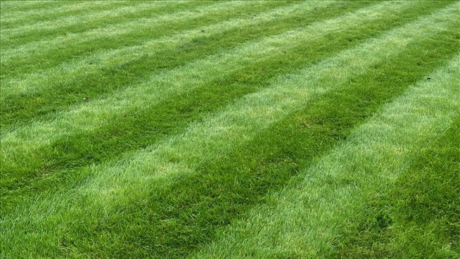 Robots Are Finally Capable of Mowing Our Lawns