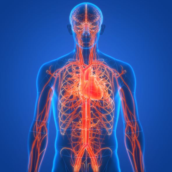 New Guidelines: Be More Aggressive on Cholesterol