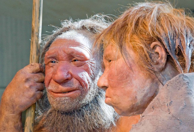Neanderthals May Have Used Antibiotics