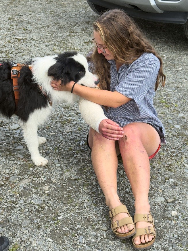 A Week After Owner's Remote Fall, Dog Gets Her Own Rescue