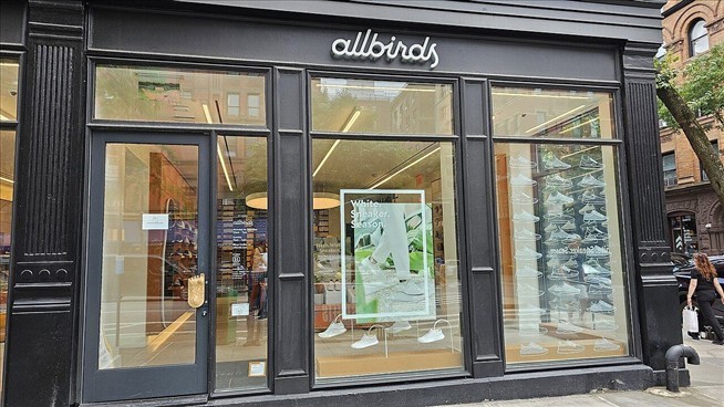 Allbirds, Once Loved by Tech Bros, Sells for Just $39M