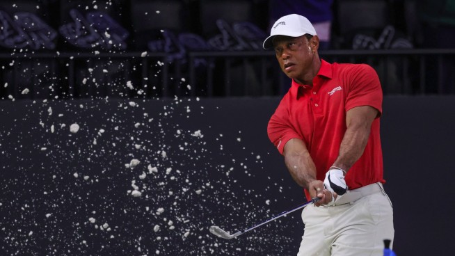 Judge Lets Tiger Woods Get Treatment Outside US
