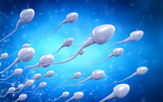 Humans May Have a Hard Time Making Babies in Space