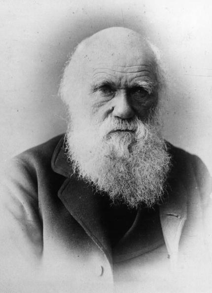 Vatican Makes Peace With Darwin