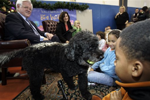 And the Winner Is ... Portuguese Water Dog