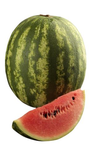 Mayor Sent Email With White House Watermelons