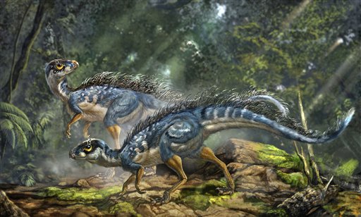 Fossil Discovery Hints Dinos Were Warm and Fuzzy