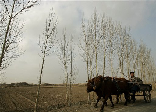 Deserts Eat Up China's Usable Land