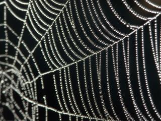 Scientists Build a Better Web—by Adding Metal