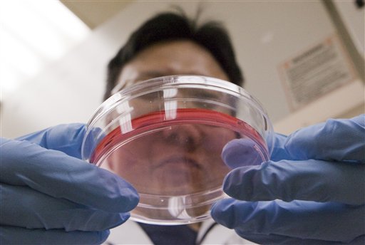 Safer Stem Cells Bring Real-Life Treatments Closer