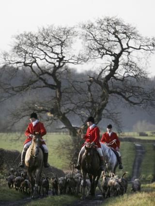 Fox Hunters Try for More Populist Image