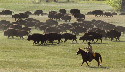 Hunters Take Aim in Wyoming