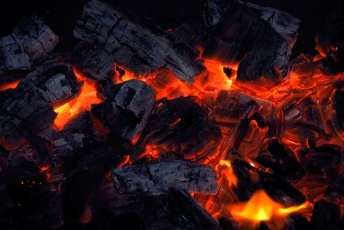 Charcoal Is Hot Again —and May Save the Planet