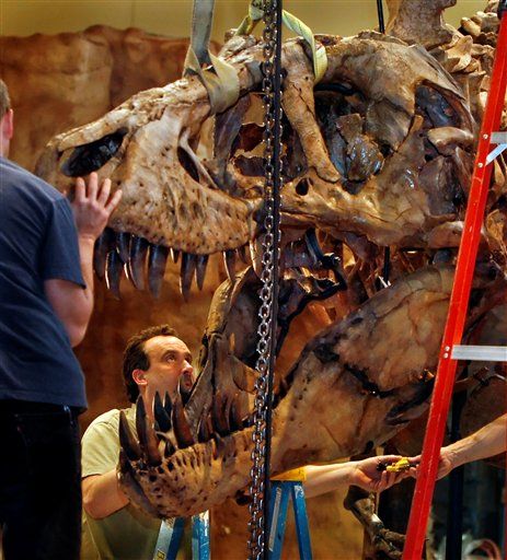 Sore Throat May Have Axed T Rex