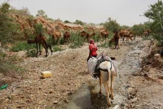 Amnesty: Israel Is Denying Palestinians Water