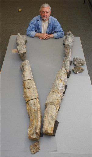 Fossil Hunter Finds Giant Sea Monster