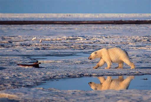 Arctic Melt Nears 'Tipping Point'