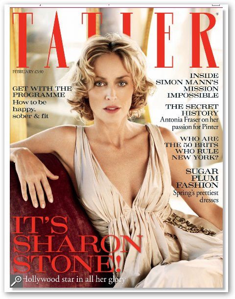 Meryl Streep 'Looks Like an Unmade Bed': Sharon Stone