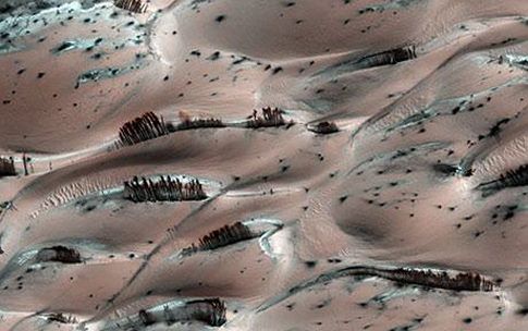 NASA Probe Snaps Mars 'Trees'