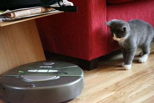 For Many, Roomba Akin to Fido
