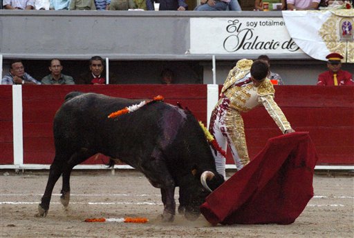 Olé! Teen Matador Kills 6 Bulls