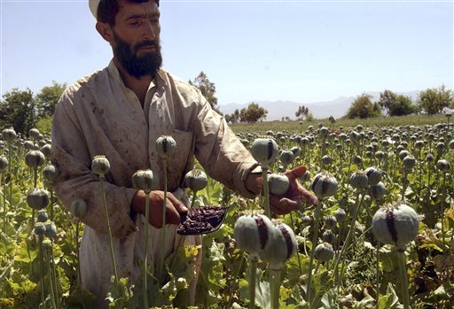 US Targets Afghan Opium Crop