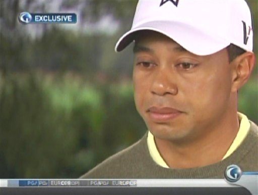 Tiger: 'I've Done Bad Things'