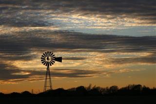 Texas Thrives, Thanks to Regulation and ... Windmills?
