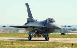 NATO Jet Suffers Ash Damage