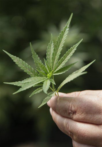 DC Council Approves Medical Marijuana