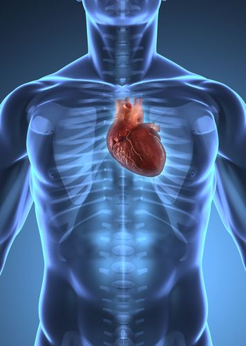 Half of US Has Major Heart Disease Risk