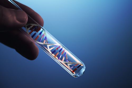 Berkley Offers DNA Testing to Freshmen