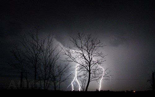 Lightning Kills Woman Minutes Before Proposal