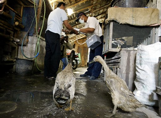 Indonesia Still Won't Send WHO Bird Flu Samples