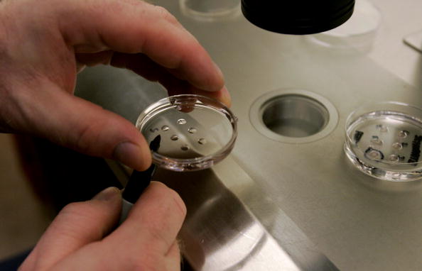 Calif. Firm First to Clone Human Embryos