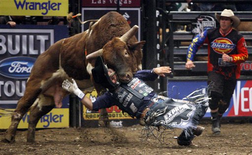 Now Rodeo Bulls Face Steroid Tests