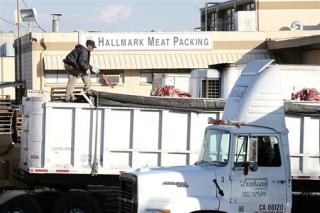 US Scrutinizes Calif. Meat Packer