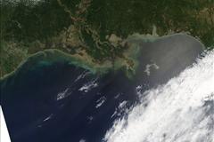 Scientists: Flood the Mississippi to Save Coast