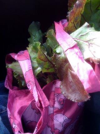 Your Planet Saving Grocery Bag Could Kill You Newser Mobile