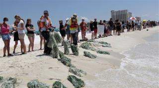 Gulf Oil Sickens Hundreds of Florida Swimmers