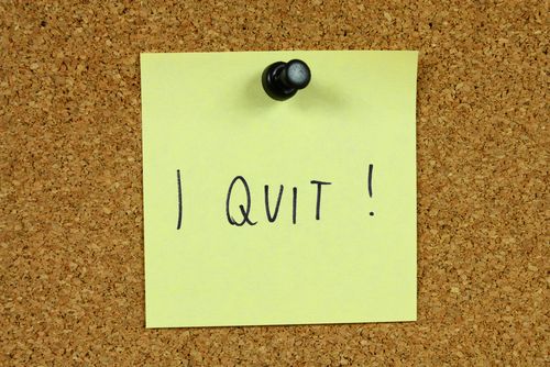 Hoaxters' I-Quit-My-Job Photo Essay Goes Viral