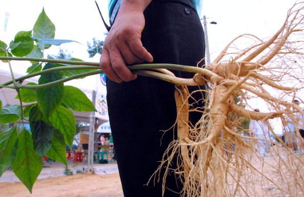 N. Korea Offers to Settle Debts With...Ginseng