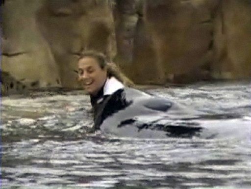 Trainer's Death Was SeaWorld's Fault: Ex-Safety Chief