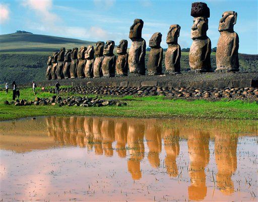 Scientists Discover New Insect on Easter Island