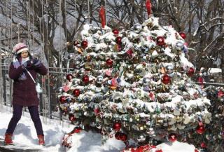 Facebook Hoax Warns of 'Christmas Tree' Virus