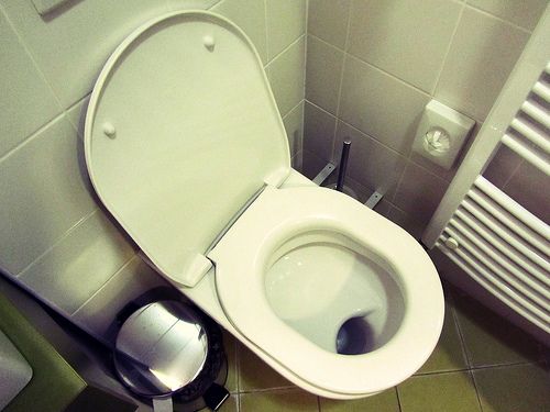 Fun Facts to Know About Toilets