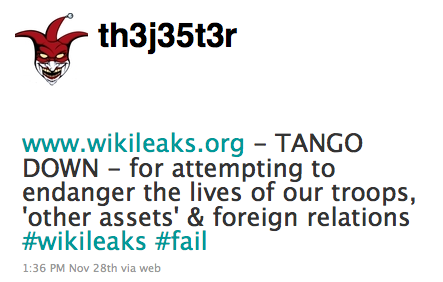 'Hacktivist': I Shut Down WikiLeaks