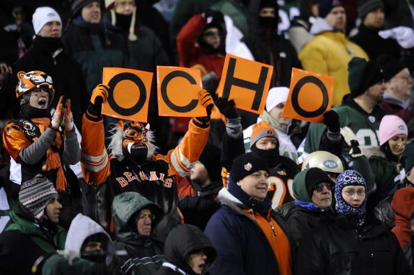 Woman Sues Bengals After Drunk Fans Fall on Her