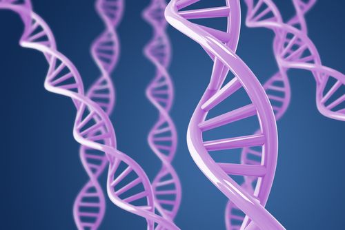New DNA Test Reveals Children Born of Incest