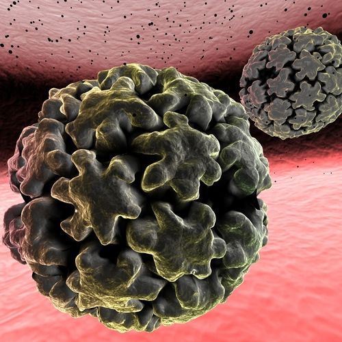 HPV: Half of Men May Be Infected With Human Papillomavirus, Study Shows